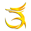 logo Yiwu Jitian
